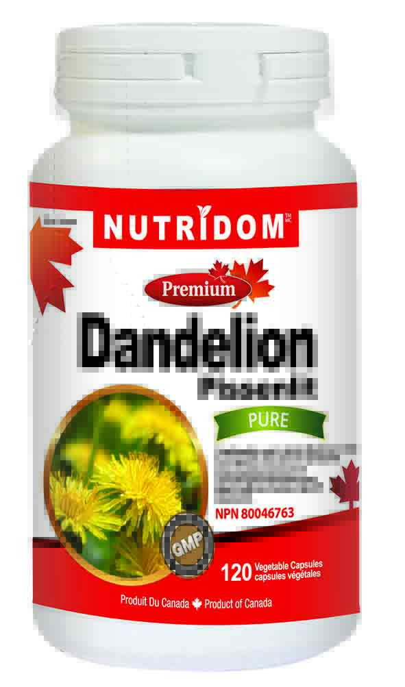 Canadian Dandelion